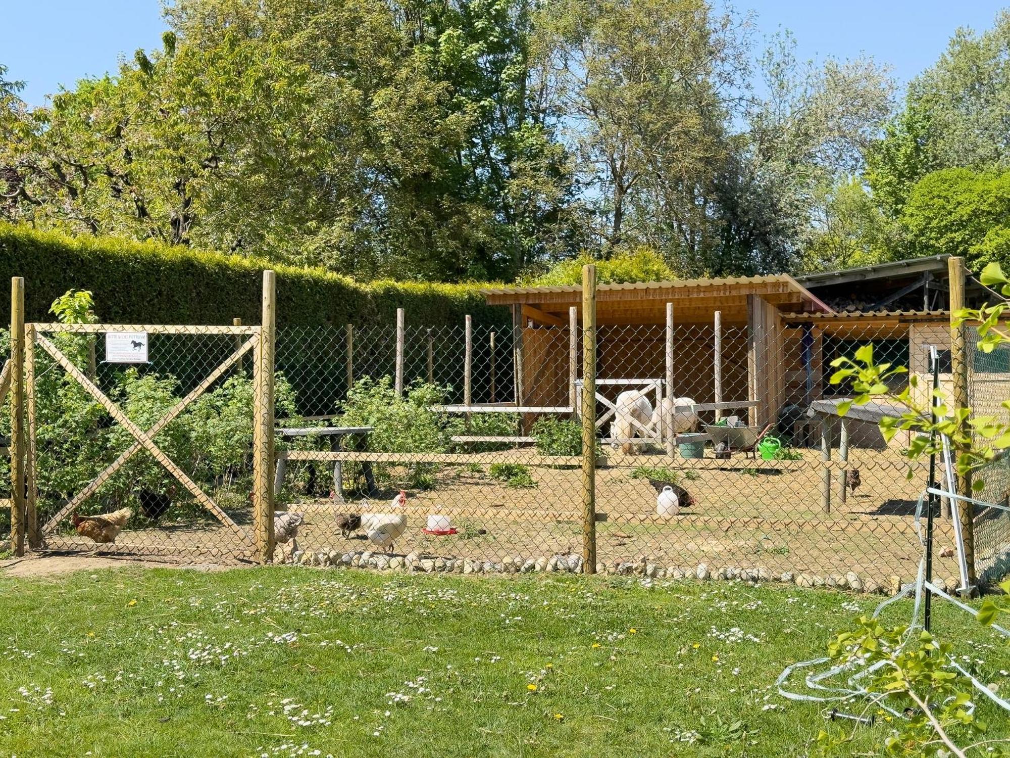 Obst- Und Lehle Apartment Immenstaad am Bodensee